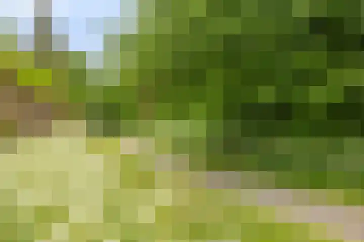 Klagerstuin 10 Zwaag thumbnail 38