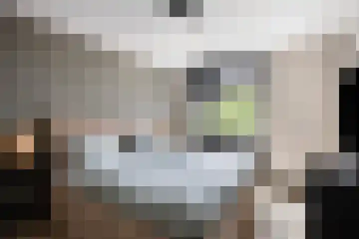 Klagerstuin 10 Zwaag thumbnail 4