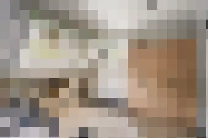 Klagerstuin 10 Zwaag thumbnail 5