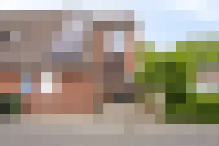 Klagerstuin 10 Zwaag thumbnail 6