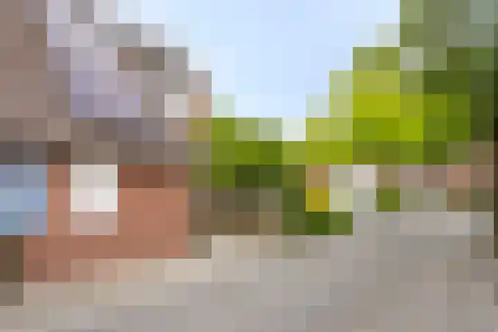 Klagerstuin 10 Zwaag thumbnail 8