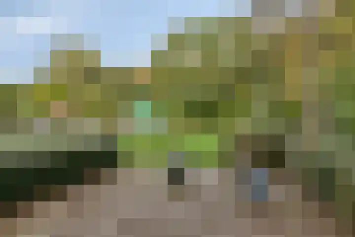 Klagerstuin 138 Zwaag thumbnail 28