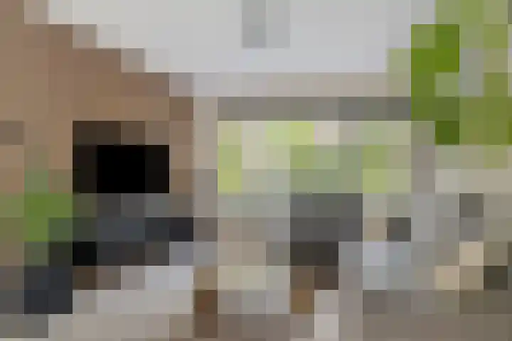 Klagerstuin 138 Zwaag thumbnail 6