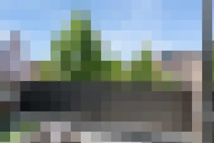 Klagerstuin 34 Zwaag thumbnail 11