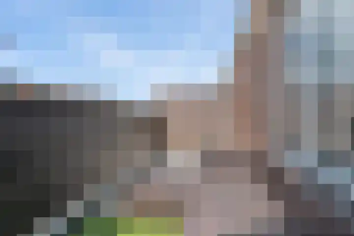 Klagerstuin 34 Zwaag thumbnail 12