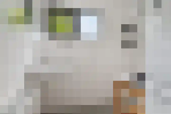 Klagerstuin 34 Zwaag thumbnail 18