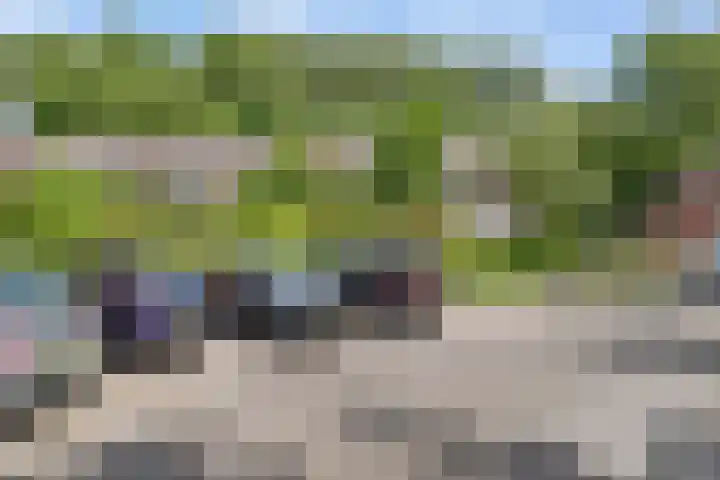 Klagerstuin 34 Zwaag thumbnail 23