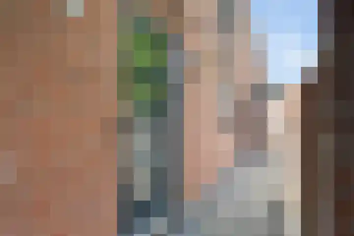 Klagerstuin 34 Zwaag thumbnail 25
