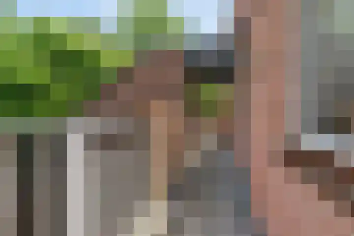 Klagerstuin 34 Zwaag thumbnail 26
