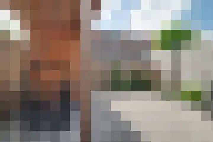 Klagerstuin 36 Zwaag thumbnail 15