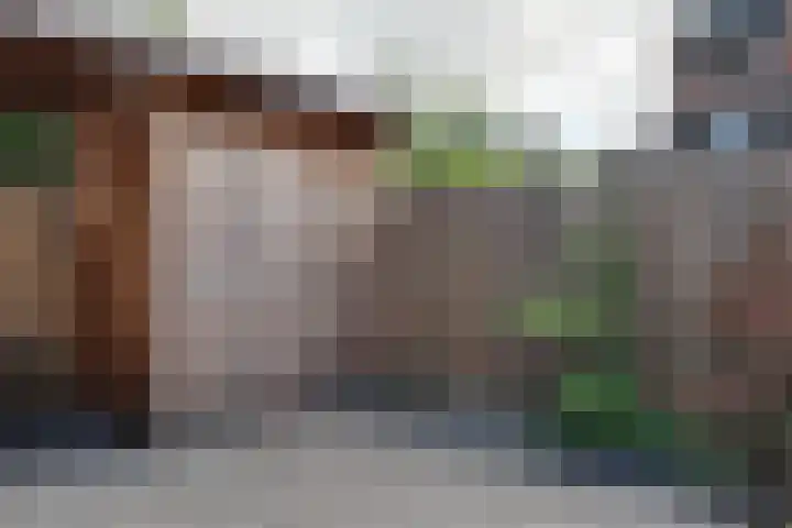 Klagerstuin 36 Zwaag thumbnail 16
