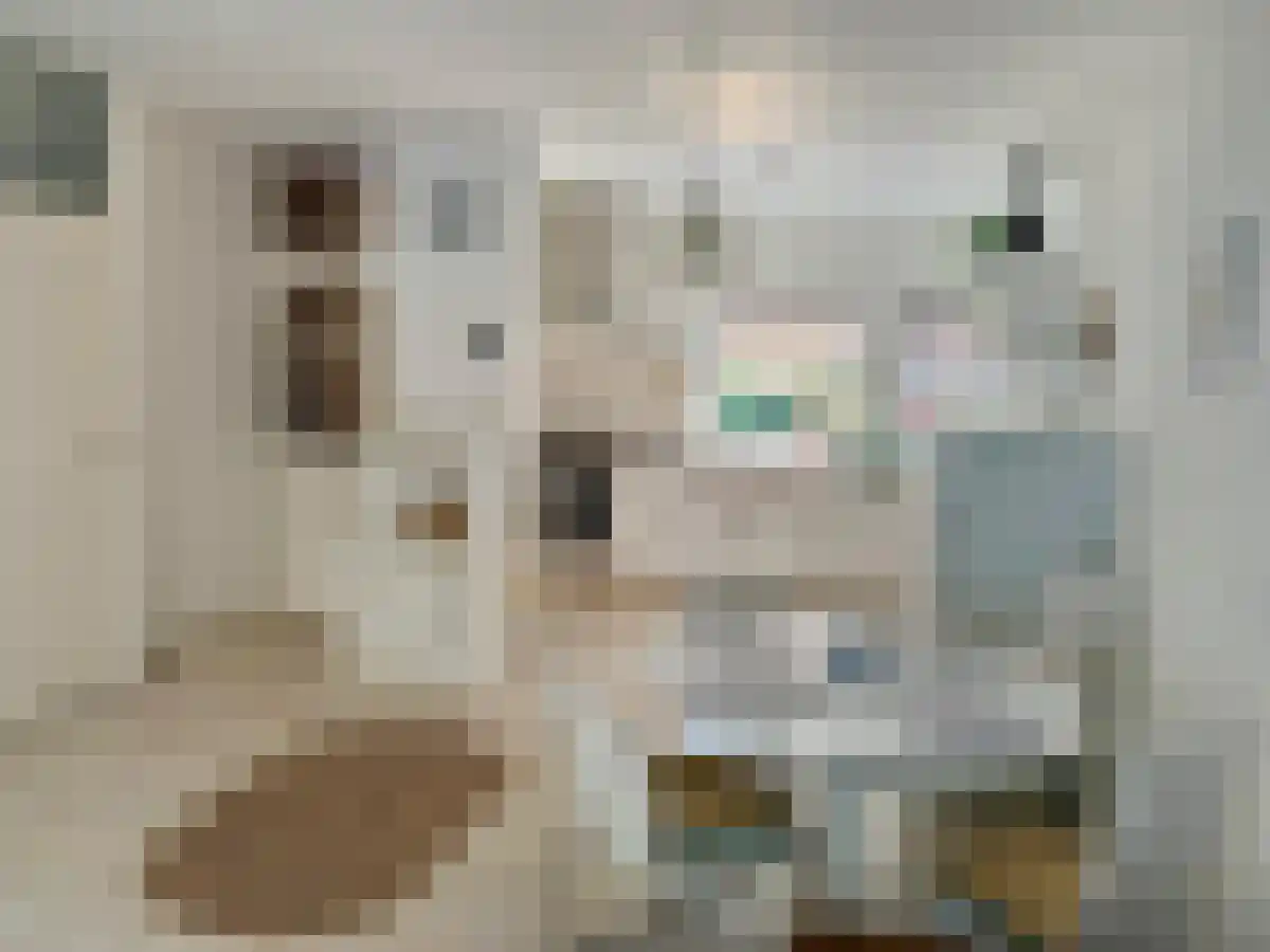 Klagerstuin 5 Zwaag thumbnail 6