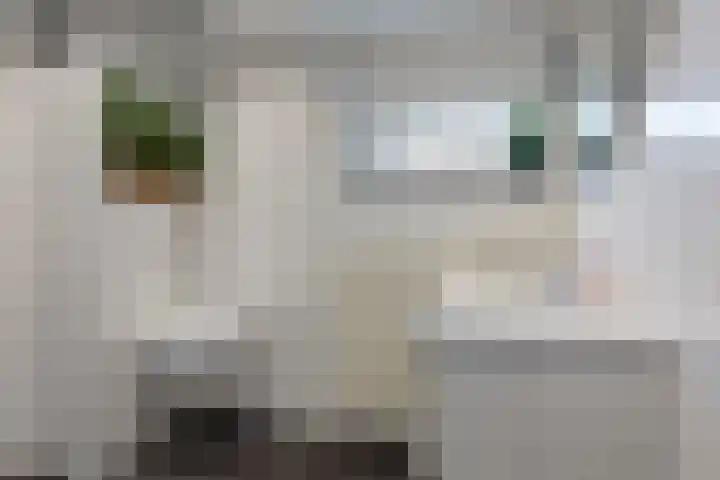 Klagerstuin 95 Zwaag thumbnail 18