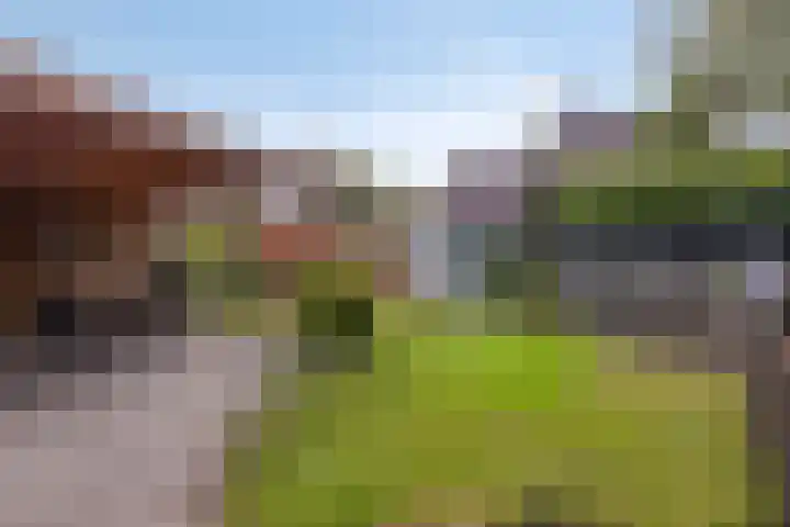 Klagerstuin 95 Zwaag thumbnail 30