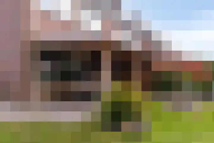 Klagerstuin 95 Zwaag thumbnail 31