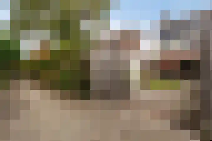 Klagerstuin 95 Zwaag thumbnail 33