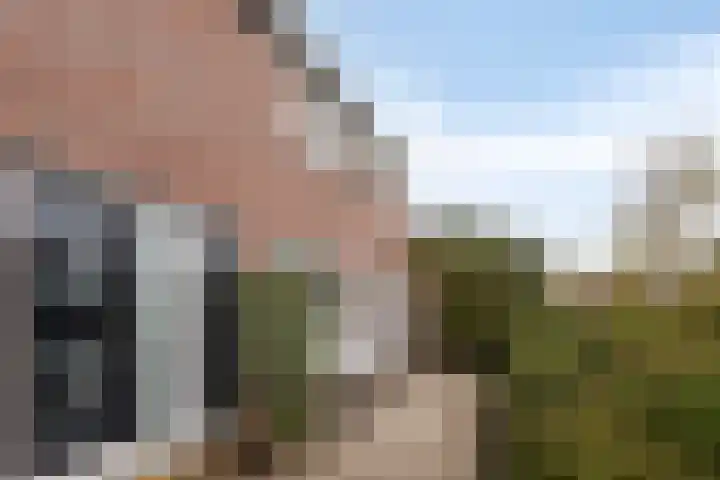 Klagerstuin 95 Zwaag thumbnail 34