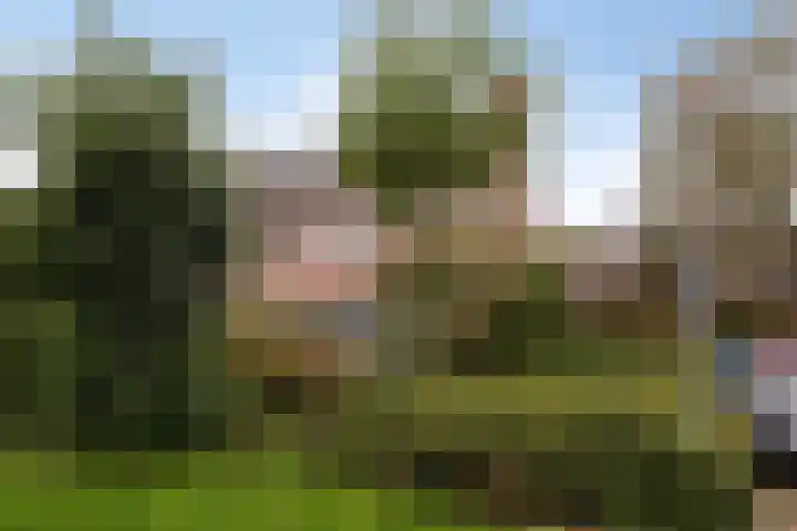 Klagerstuin 95 Zwaag thumbnail 35