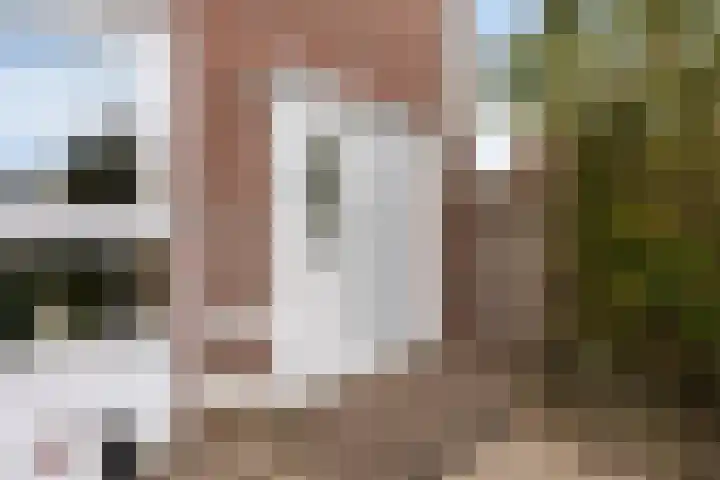 Klagerstuin 95 Zwaag thumbnail 4