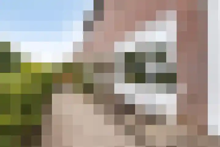 Klagerstuin 95 Zwaag thumbnail 5