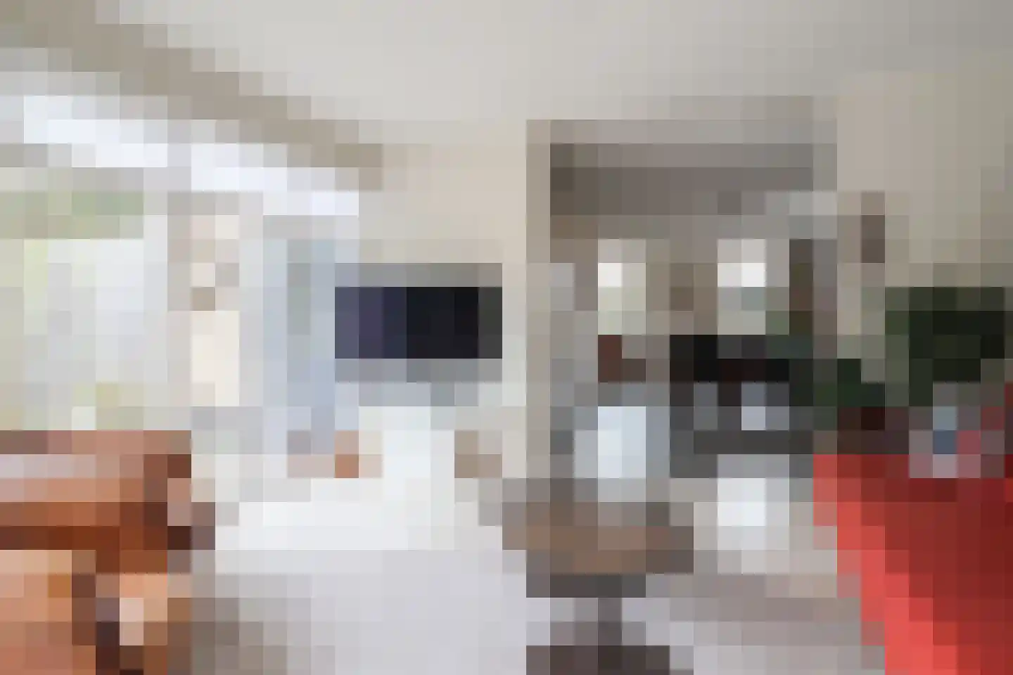 Klaine-Izakstraat 1 Vrouwenparochie thumbnail 30