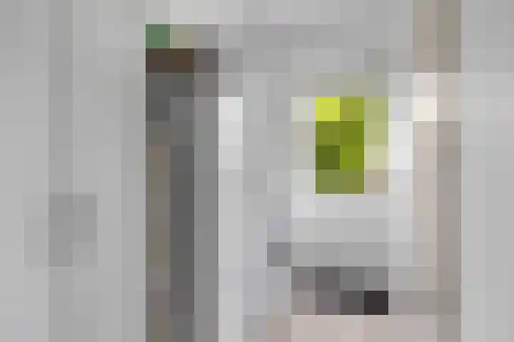 Klam 9 Sneek thumbnail 11