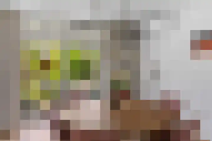 Klam 9 Sneek thumbnail 12