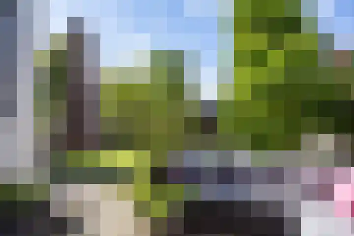 Klam 9 Sneek thumbnail 14