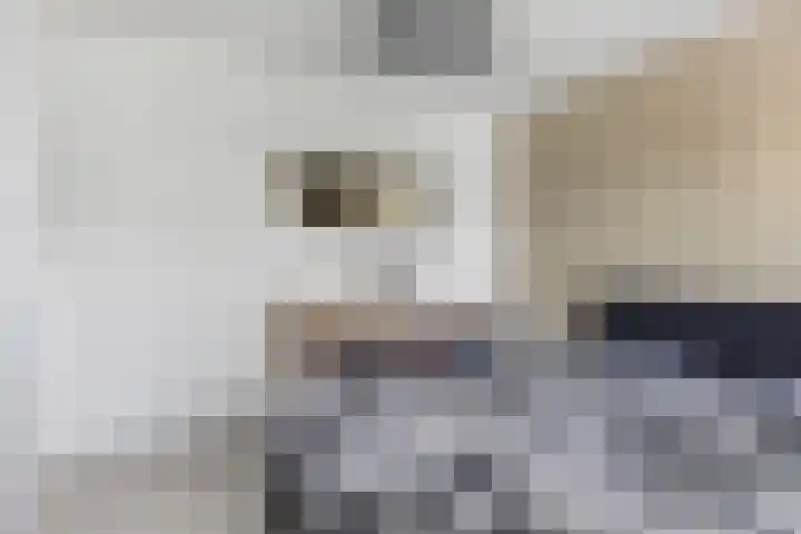 Klam 9 Sneek thumbnail 18