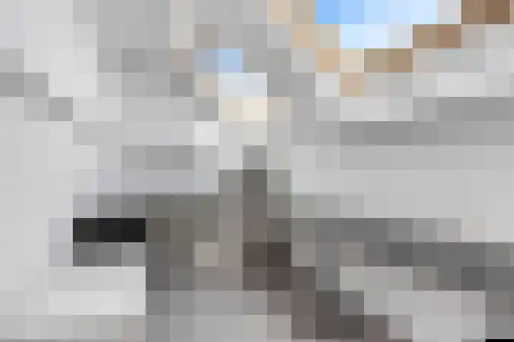 Klam 9 Sneek thumbnail 29
