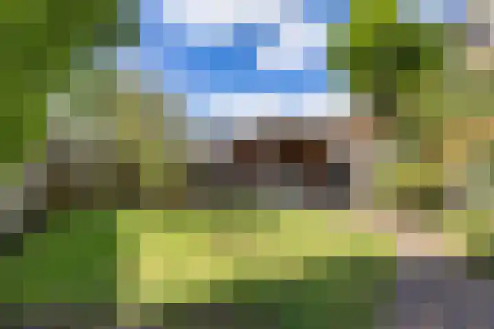 Klam 9 Sneek thumbnail 32