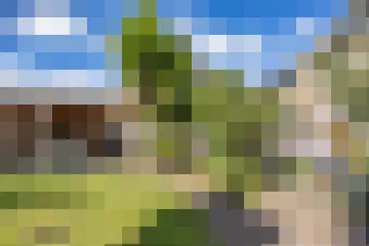 Klam 9 Sneek thumbnail 33