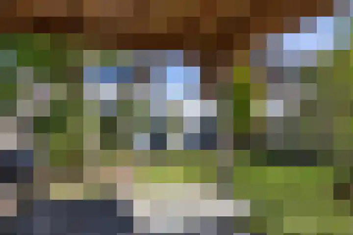 Klam 9 Sneek thumbnail 34