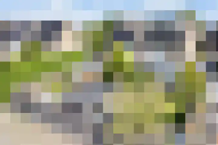 Klam 9 Sneek thumbnail 35