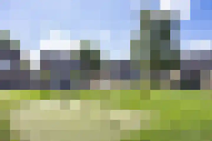 Klam 9 Sneek thumbnail 36