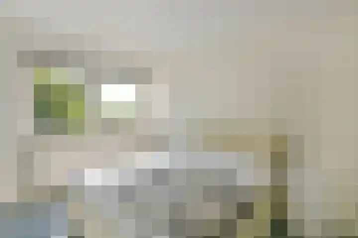 Klammeland 11 Benningbroek thumbnail 15