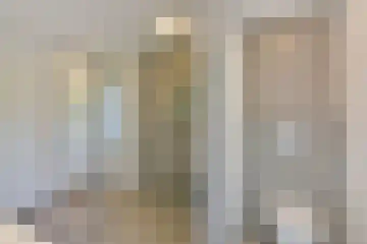Klammeland 11 Benningbroek thumbnail 17