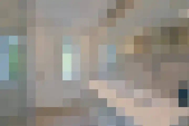 Klammeland 11 Benningbroek thumbnail 19