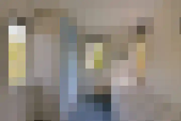 Klammeland 11 Benningbroek thumbnail 26