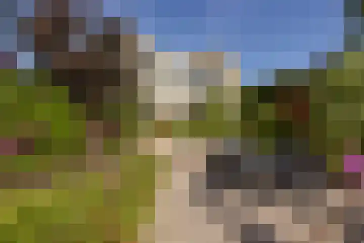 Klammeland 11 Benningbroek thumbnail 27