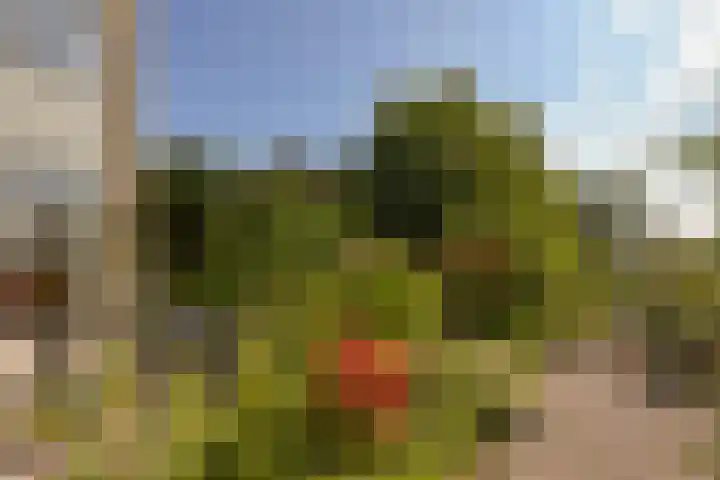 Klammeland 11 Benningbroek thumbnail 30