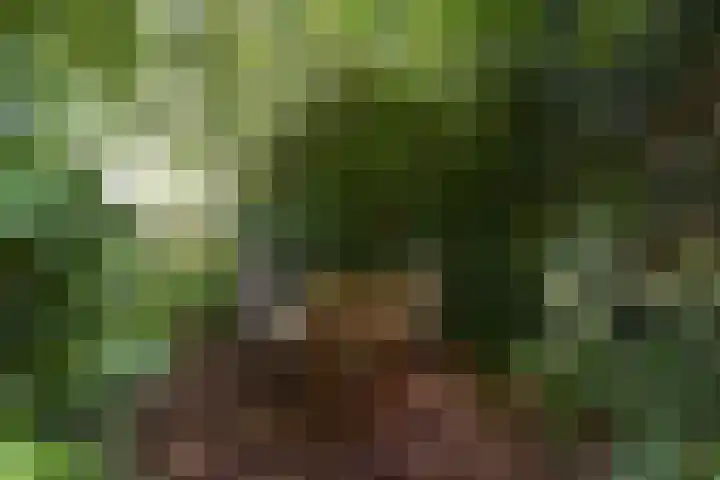 Klammeland 11 Benningbroek thumbnail 33