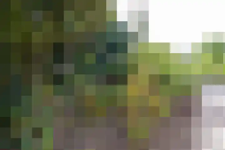 Klammeland 11 Benningbroek thumbnail 34
