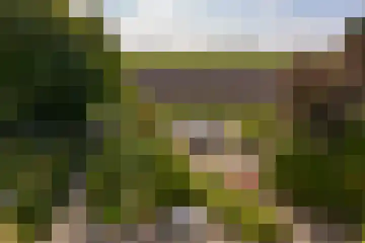 Klammeland 11 Benningbroek thumbnail 36