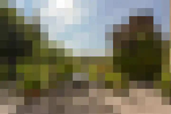 Klammeland 11 Benningbroek thumbnail 37
