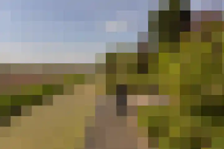 Klammeland 11 Benningbroek thumbnail 38