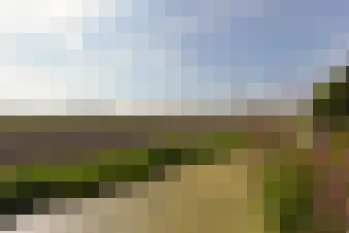 Klammeland 11 Benningbroek thumbnail 39