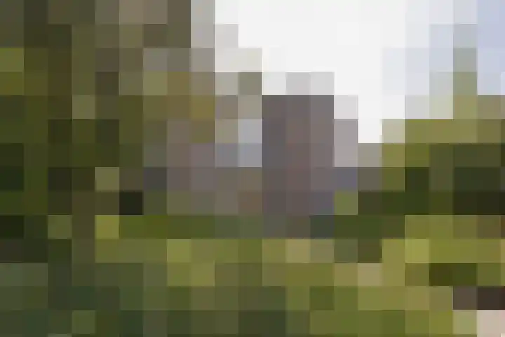 Klammeland 11 Benningbroek thumbnail 40