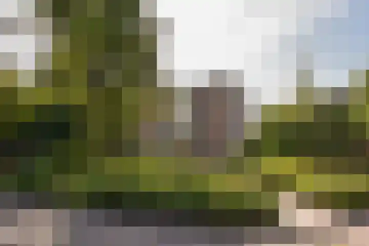 Klammeland 11 Benningbroek thumbnail 41
