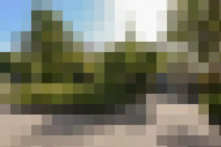 Klammeland 11 Benningbroek thumbnail 42